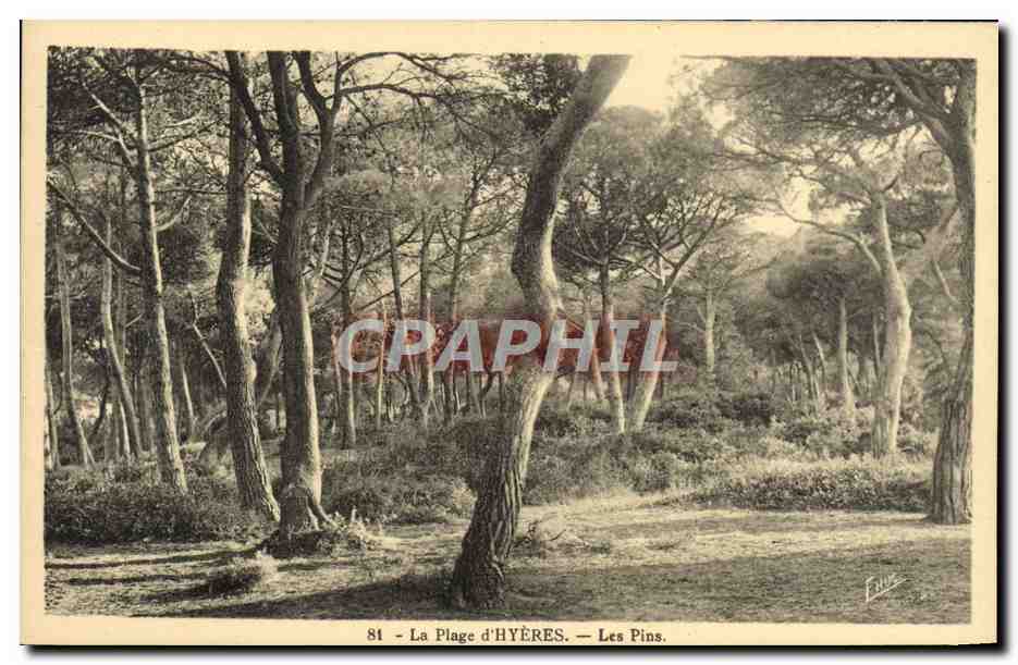 La Plage d'Hyères — Les Pins — Éditeur Hue, n°81