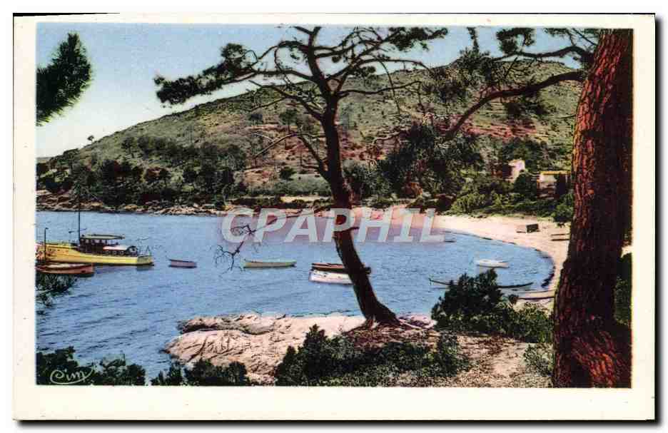 Anse de la Fossette — Côte d'Azur — LE LAVANDOU (Var) — éditeur C. Impr. (signature visible)