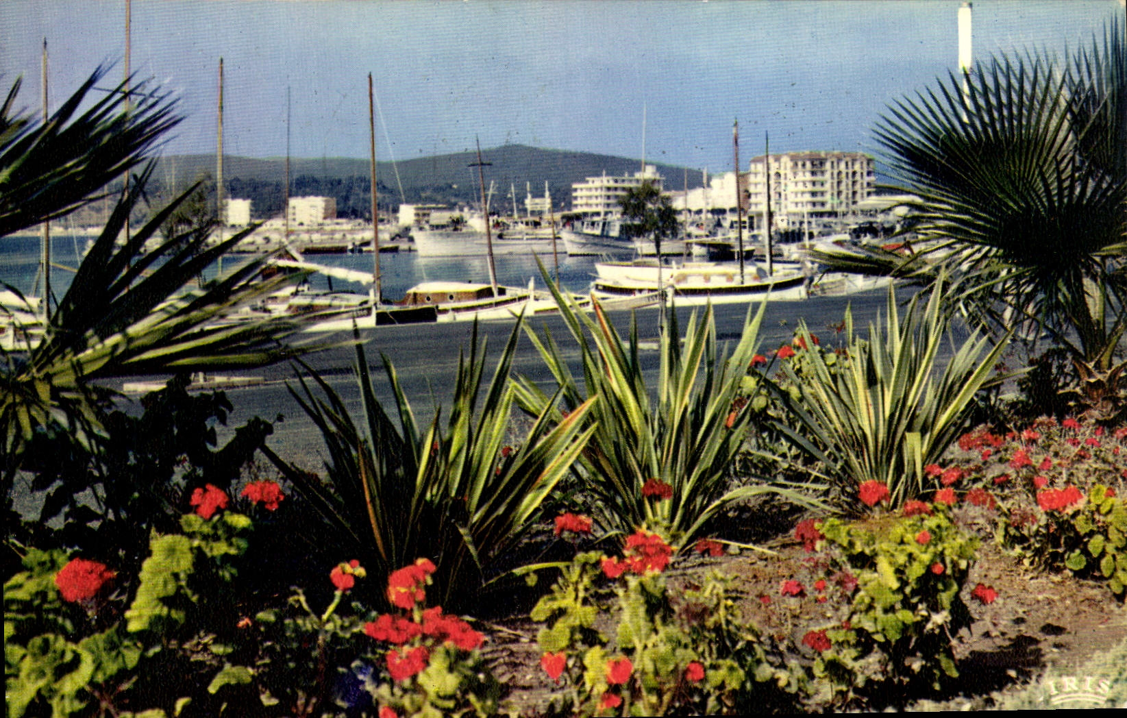 CPM Cote d'Azur French Riviera Le Lavandou Vue sur le port 