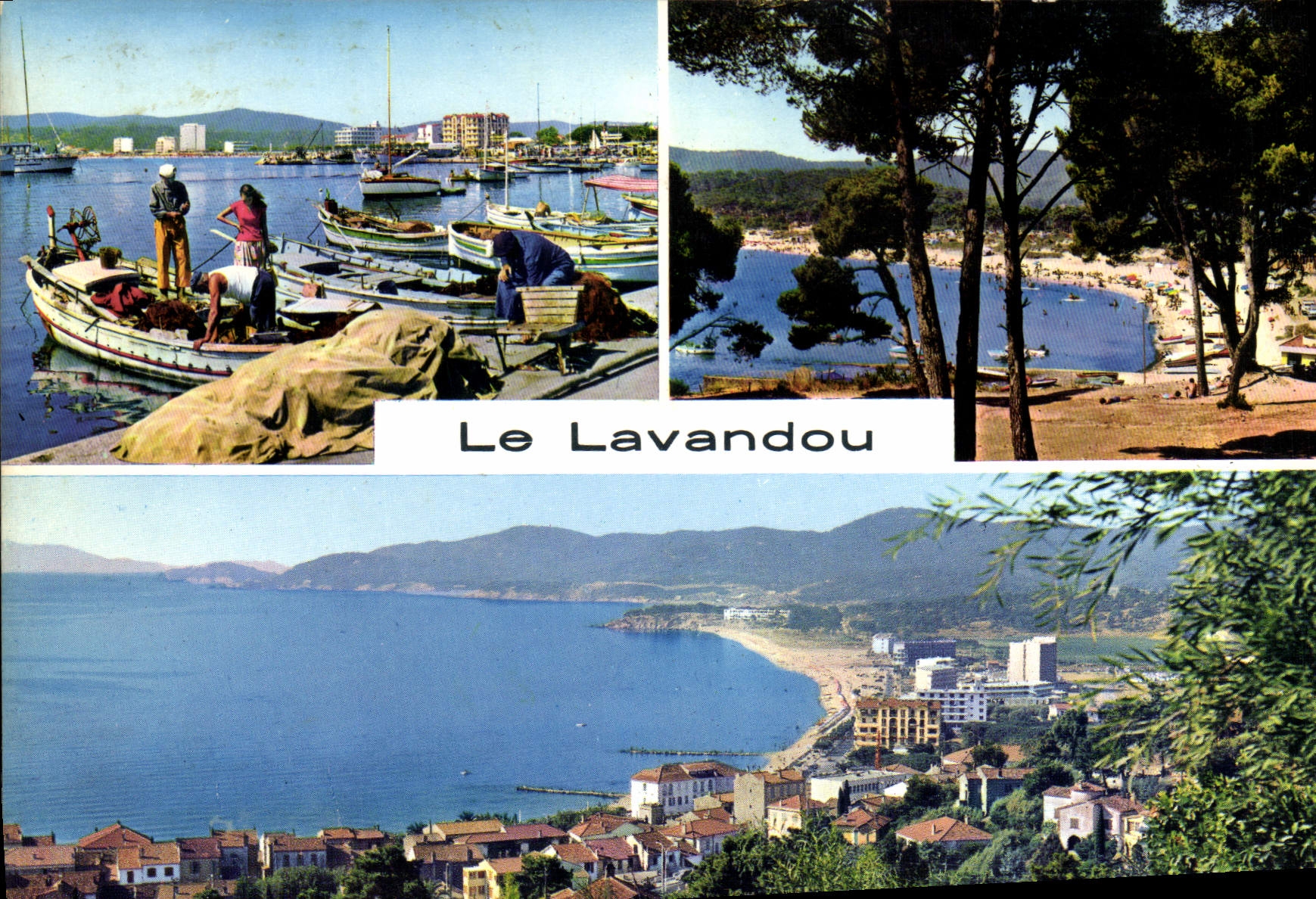 CPM Le Lavandou Le port Bormes les Mimosas La FAviere 