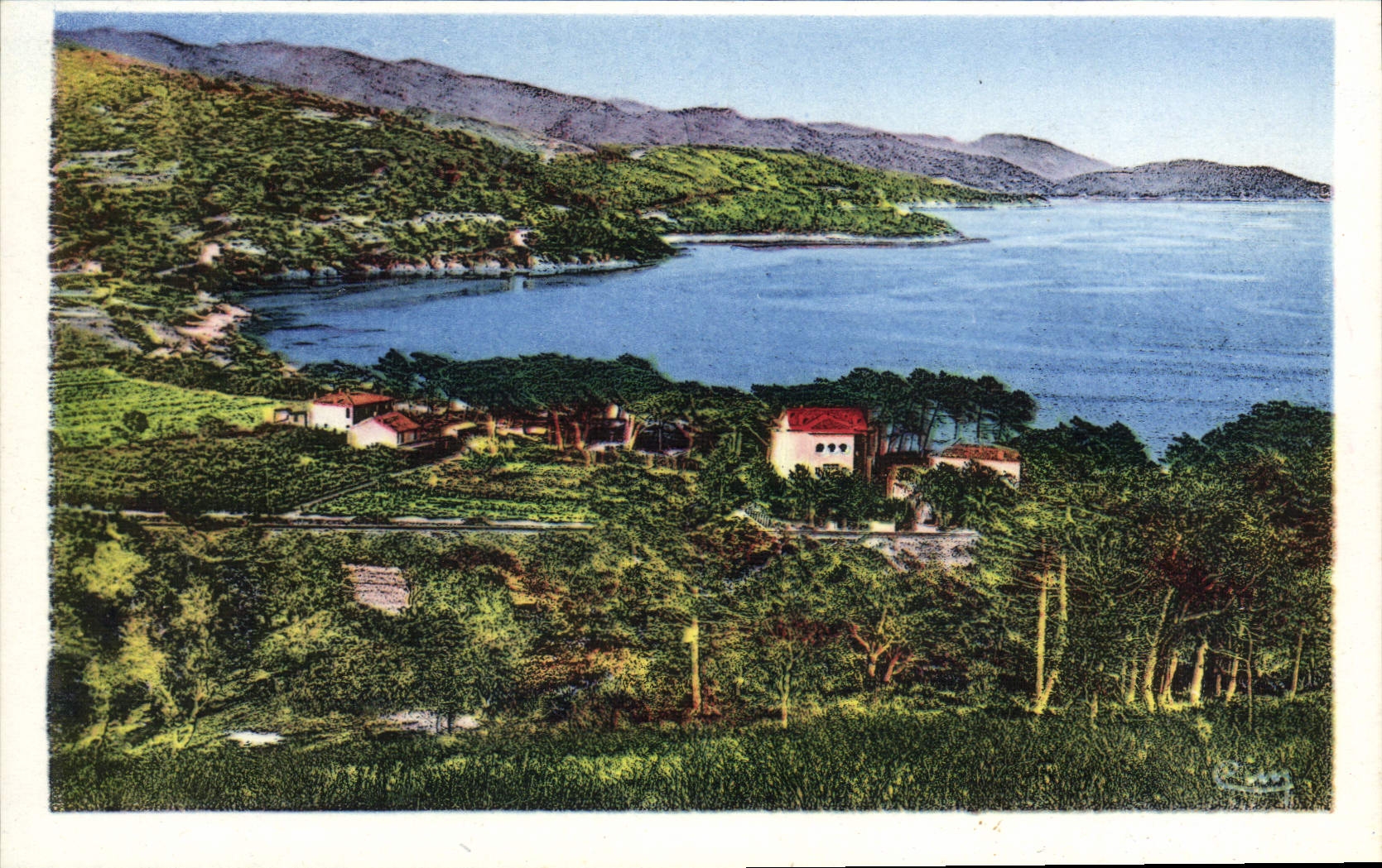 CPA Cote d'Azur Environs du Lavandou Saint Clair