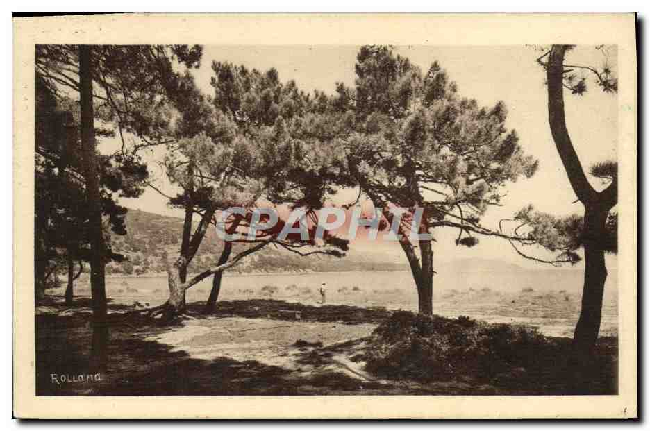 La Corniche des Maures — Le Lavandou : promenade d'été — Édition de l'Agence Touristique
