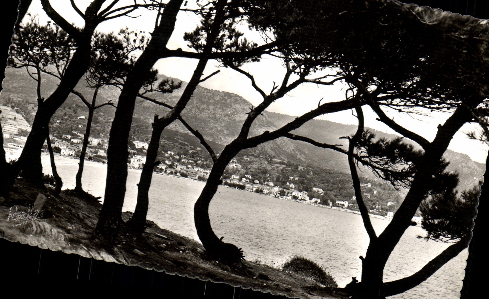 CPM Le Lavandou Vue Prise du Gouron