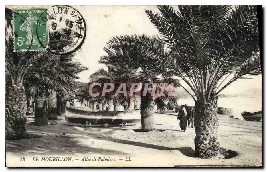 CPA Le Mourillon Allee de Palmiers