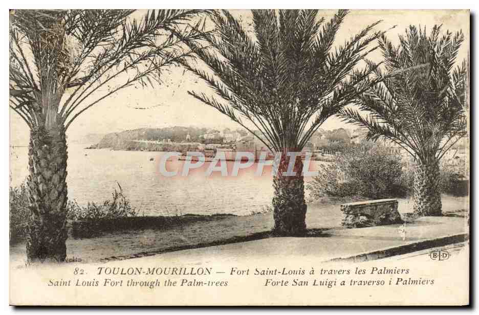 Toulon-Mourillon — Fort Saint-Louis à travers les palmiers — E.D. n°82
