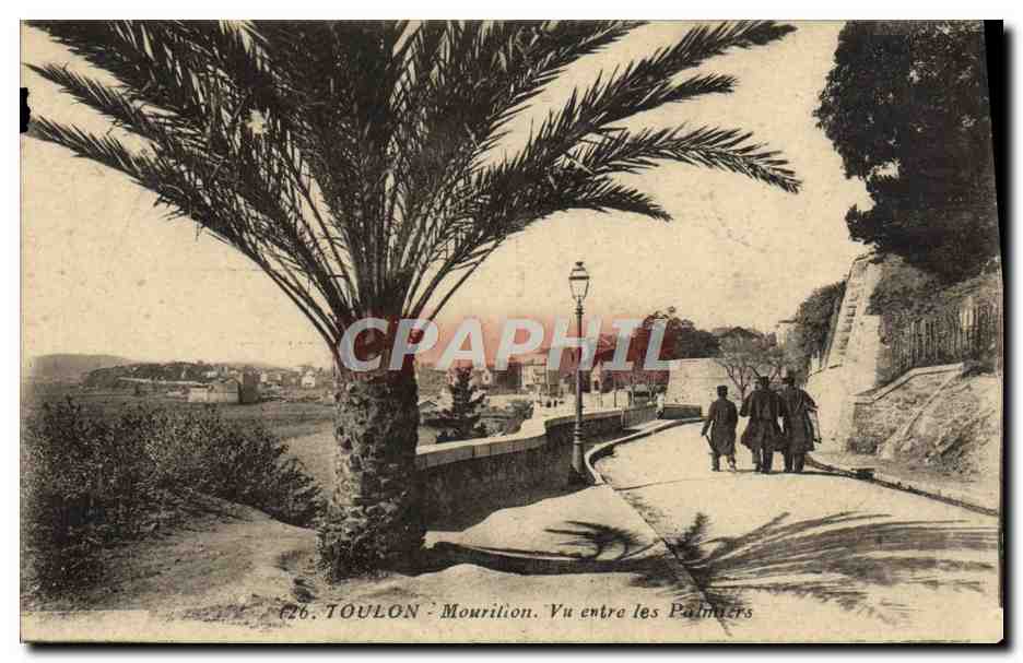CPA Toulon Mourilion Vu entre les Palmiers