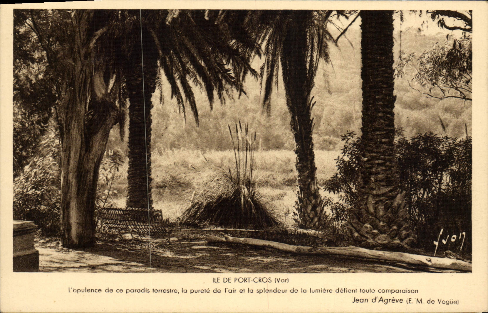 Ile de Port-Cros (Var) — paysage tropical avec palmiers et banc — éditeur E. M. de Vogüel, n° 1017