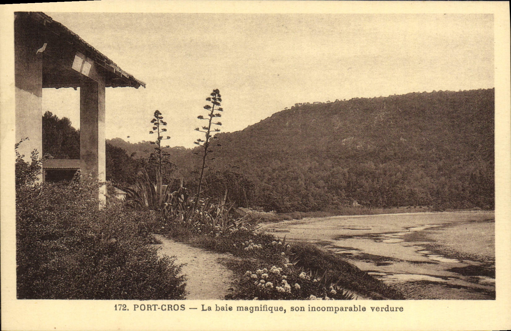 Port-Cros — Die prächtige Bucht, ihre unvergleichliche Grünheit — Verleger Rue, Verleger Houdes, Nr. 172