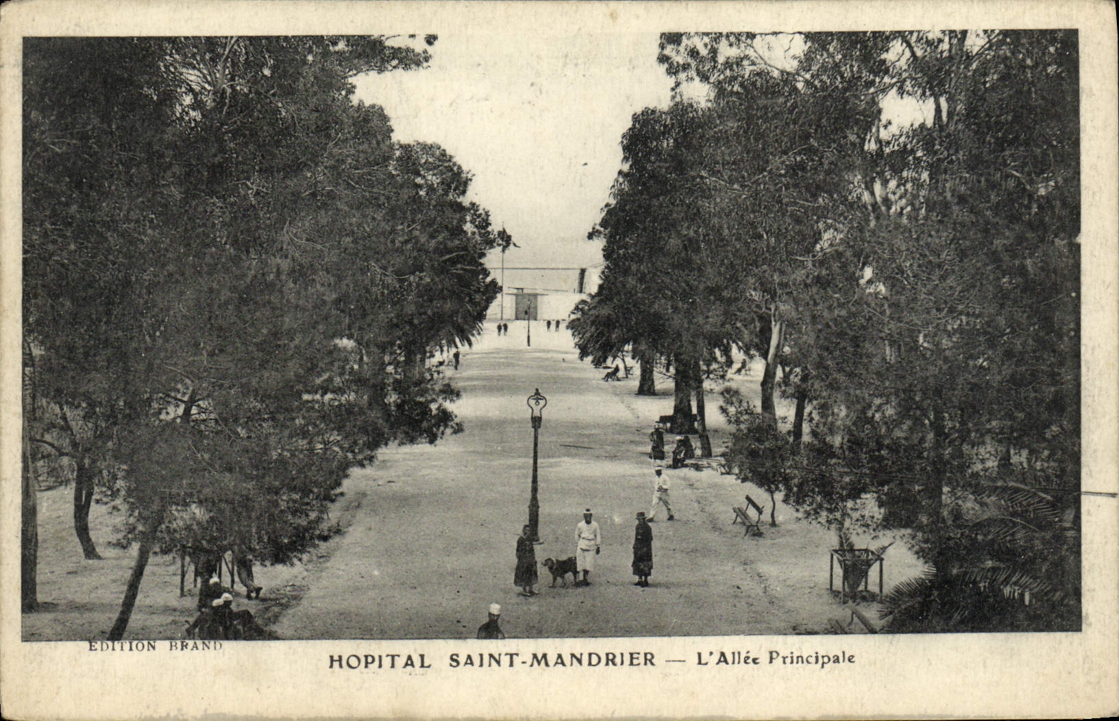 CPA Hopital Saint Mandrier L'Allee Principale