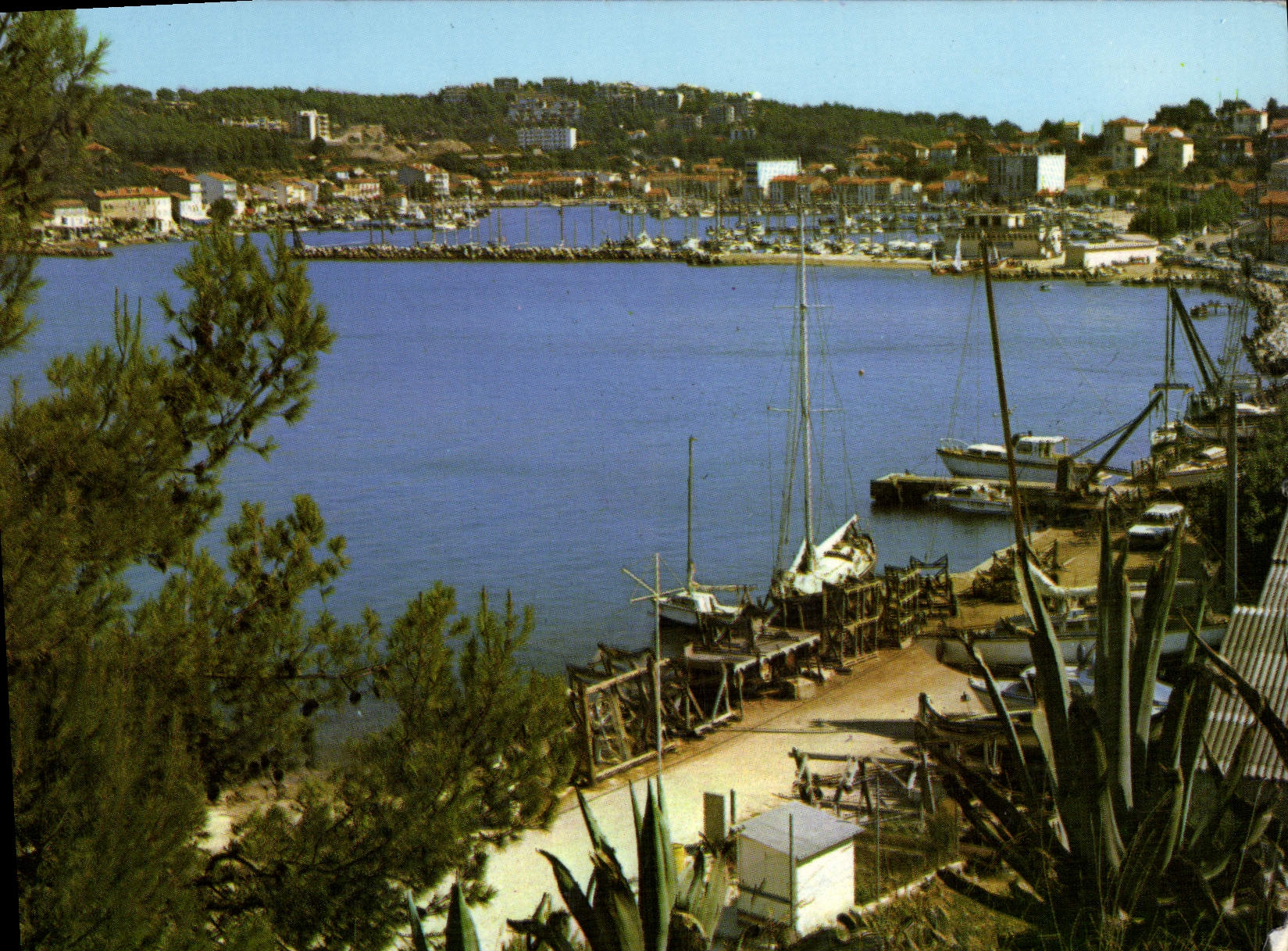 CPM Saint Mandrier Vue Generale Creux St Georges