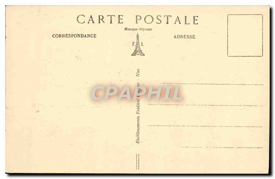 CPA Saint Raphael Etude de Pins Parasols — Rückseite