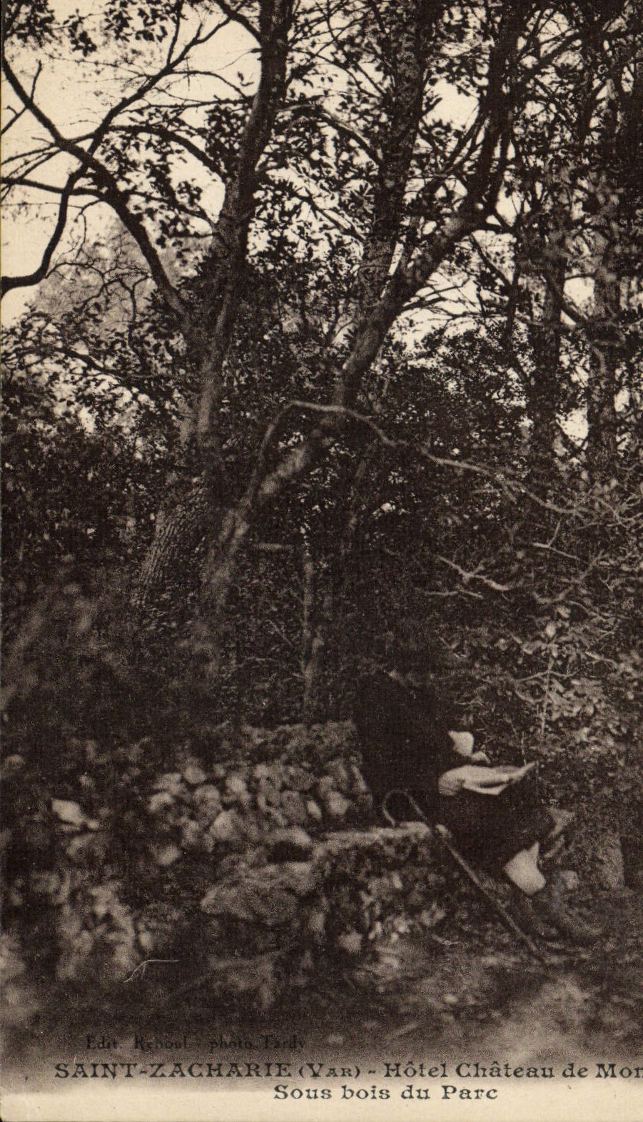 Saint-Zacharie (Var) — Hotel Schloss Montparc unter den Bäumen des Parks — Foto Tardi