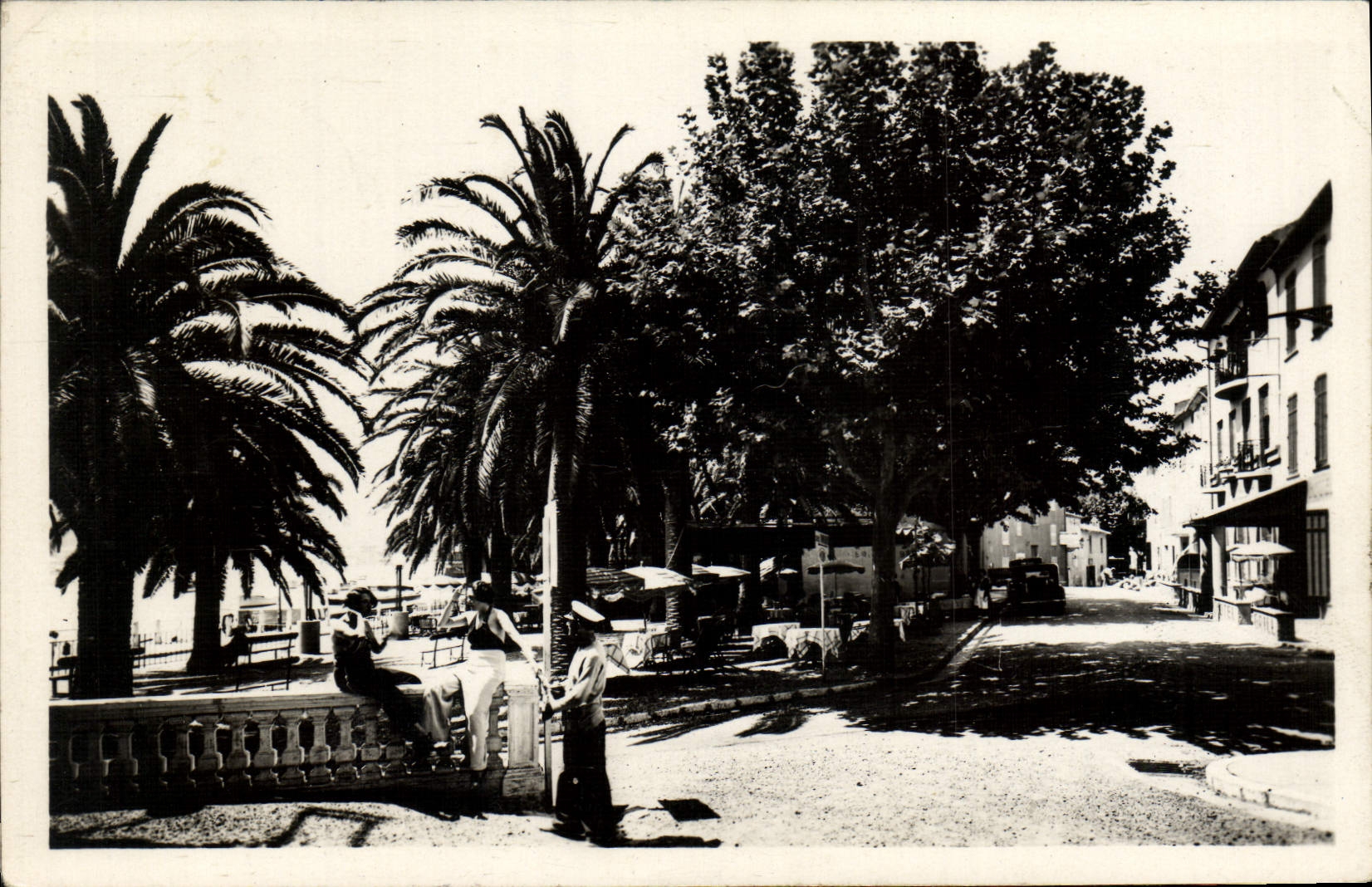 CPM Sainte Maxime Sur Mer La Place des Palmiers