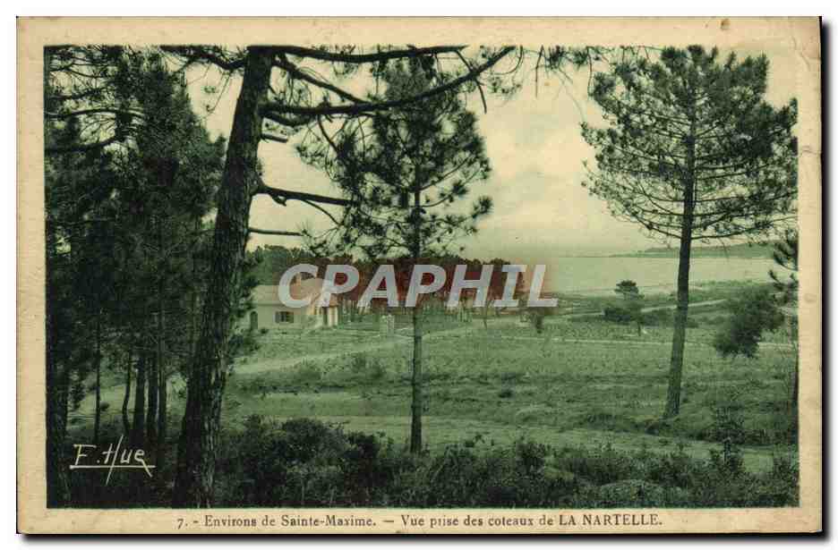 CPA Environs de Sainte Maxime Sur Mer Vue Prise des Coteaux de La Nartelle