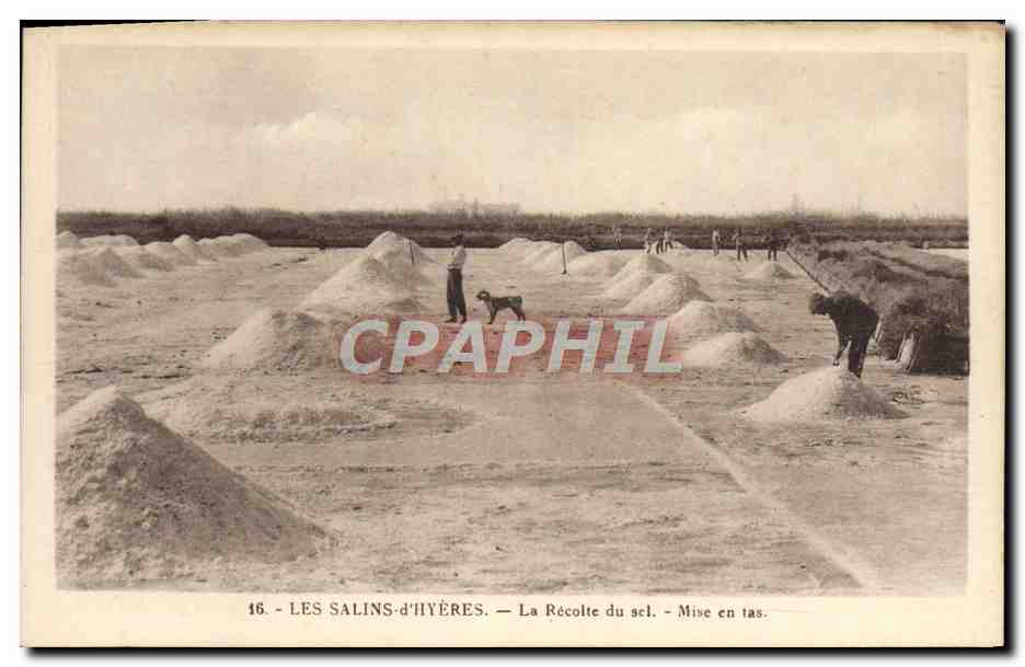 Les Salins-d'Hyères — La Récolte du sel. — Mise en tas.