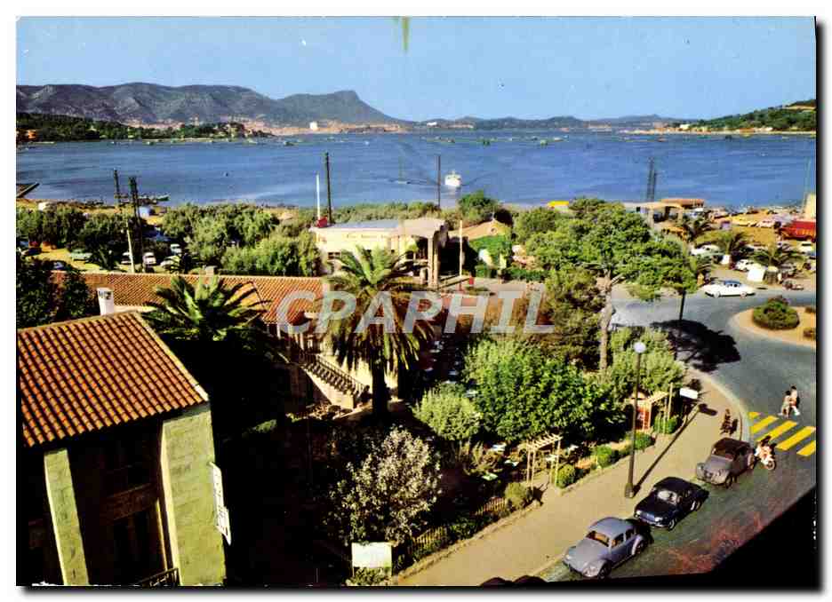 CPM Le Rond Point Au fond Toulon 