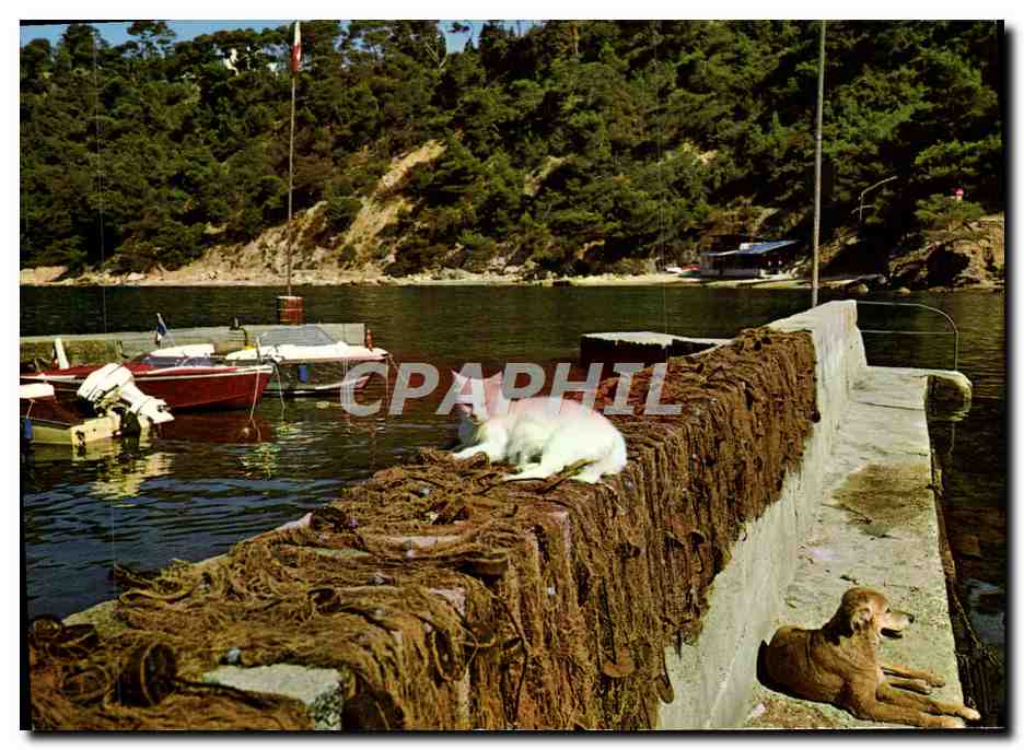 Port-Méjean — vue du port — Édition Gai Soleil, Toulon, n°580