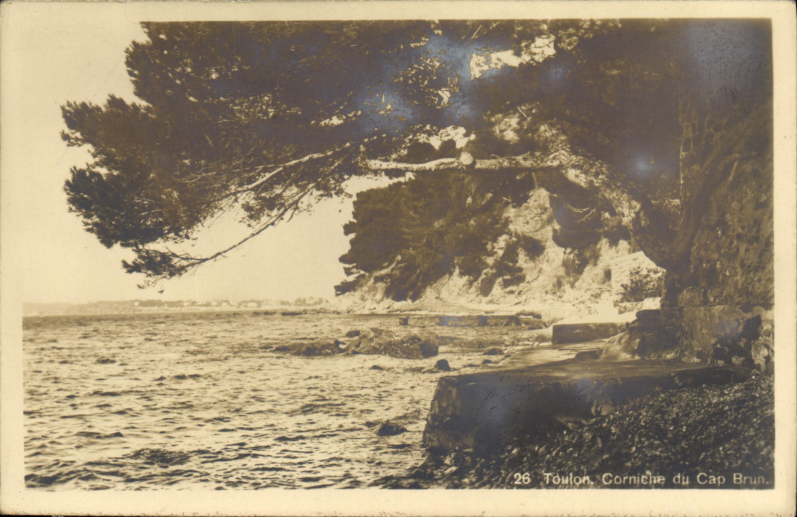 Toulon - Corniche du Cap Brun — vue de la côte avec pin et falaise — série 26