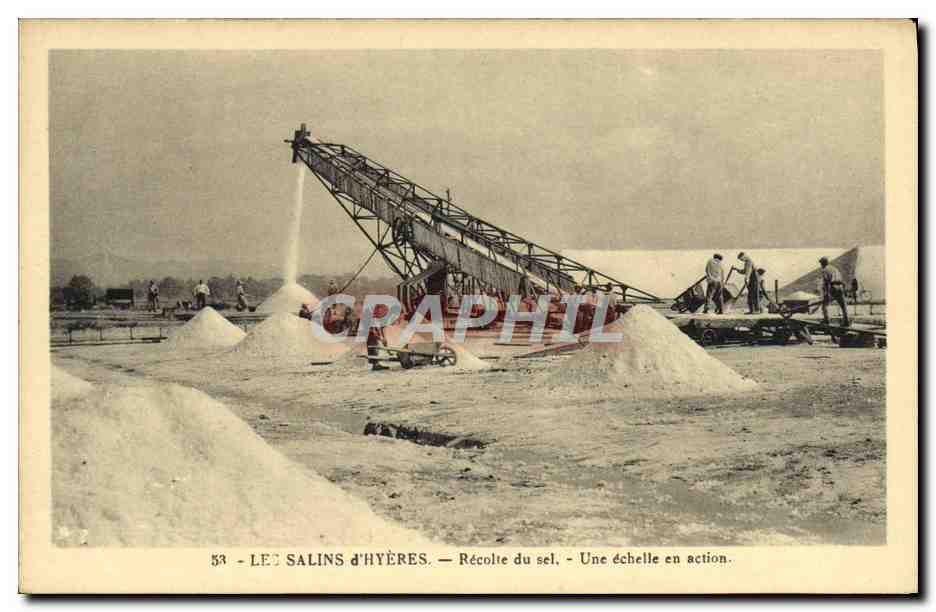 Les Salins d'Hyères — Récolte du sel — Une échelle en action.