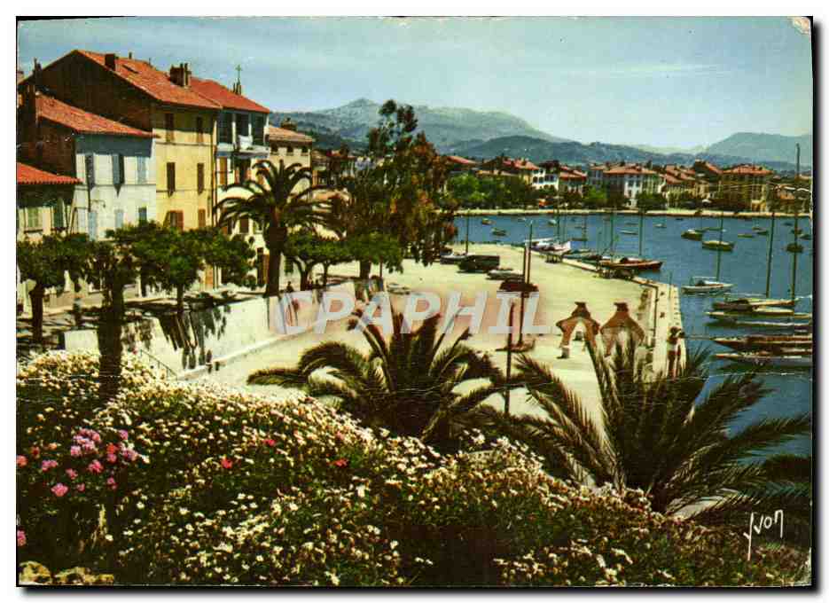 CPM Sanary sur Mer vu du chemin de la colline