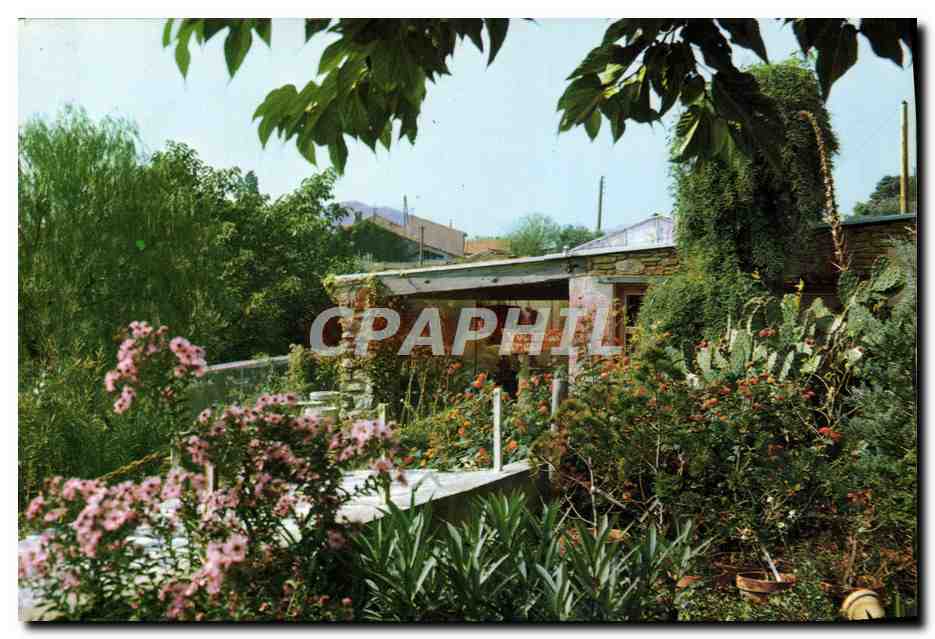 CPM Jardin Exotique et Zoo Sanary Bandol Vue du Jardin 