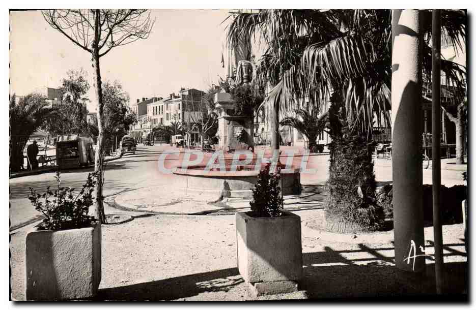 CPM Sanary sur Mer Quai du Port 