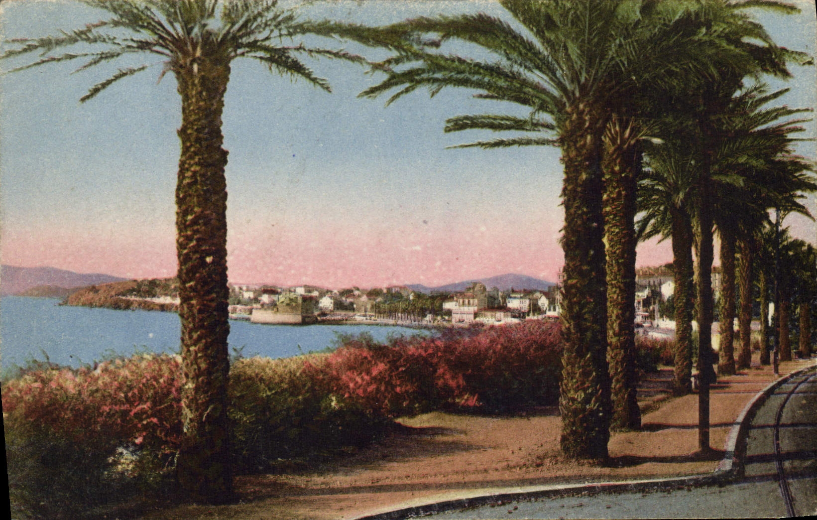 Vue de la côte — palmiers et port — Éditions Littoral, Les Paliers
