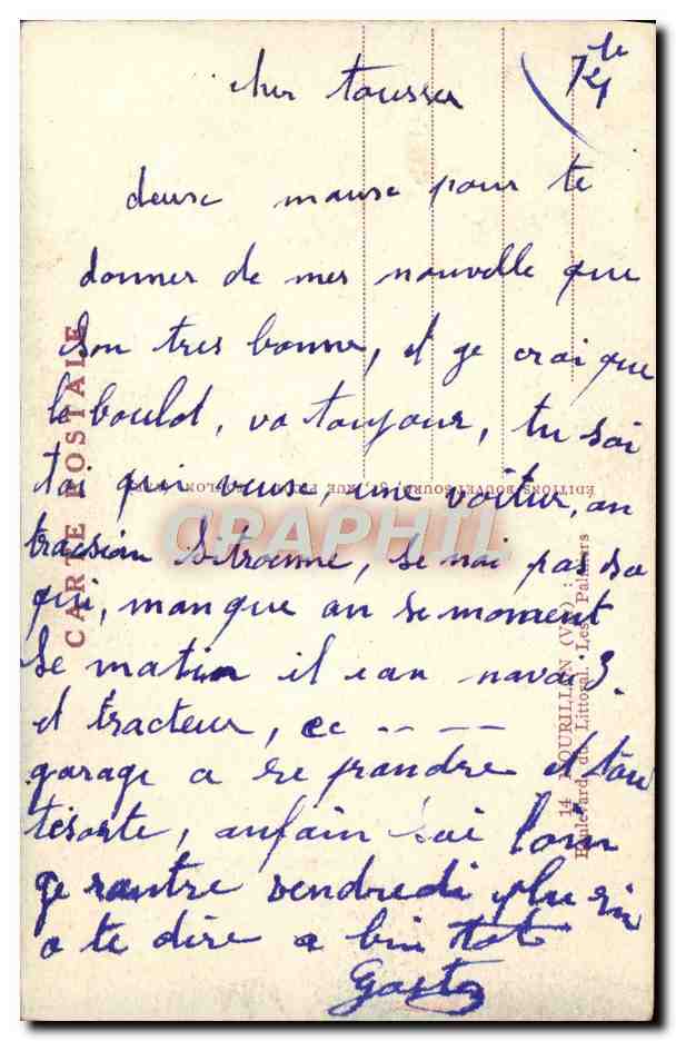 Vue de la côte — palmiers et port — Éditions Littoral, Les Paliers — Reverso