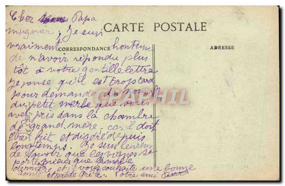 Toulon — L'Hôtel de Ville et le Carré du Port — Éditeur E.P.D. n°123 — Verso