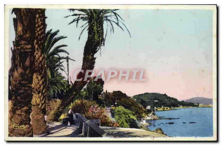 Antike Ansichtskarte Toulon Der Boulevard du Littoral Der Palmengarten neigt sich