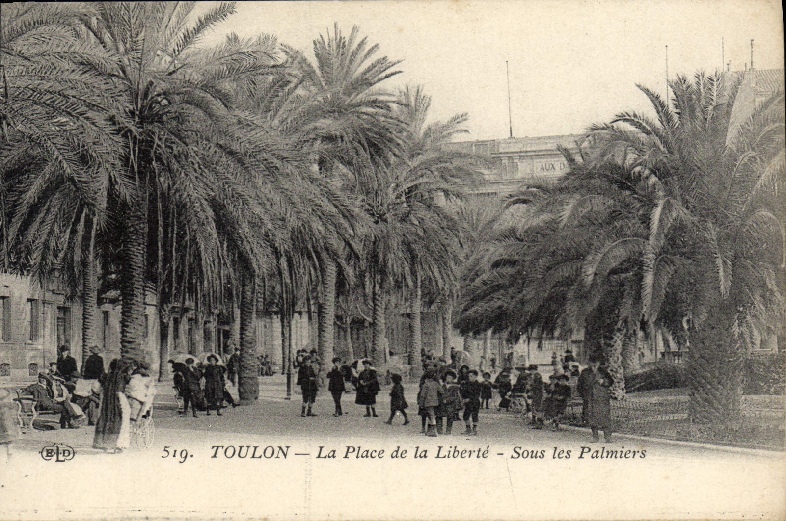 Toulon — La Place de la Liberté — Sous les Palmiers — Éditeur ELD, n° 519