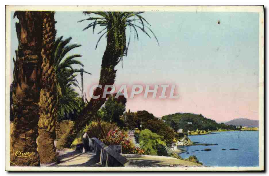 Toulon — Le Boulevard du Littoral — Le Palmier penché — Cim