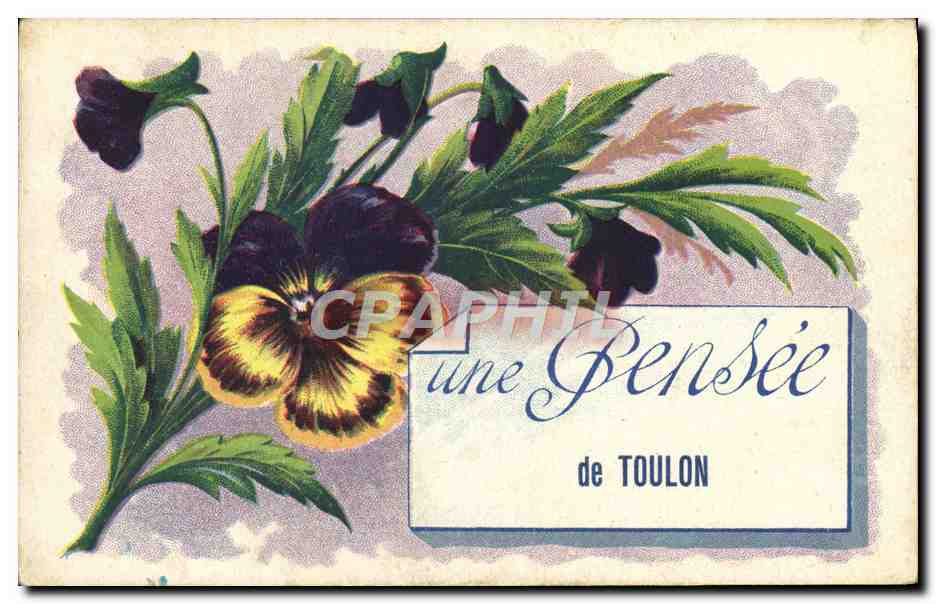 CPA Une pensee de Toulon Fleurs 