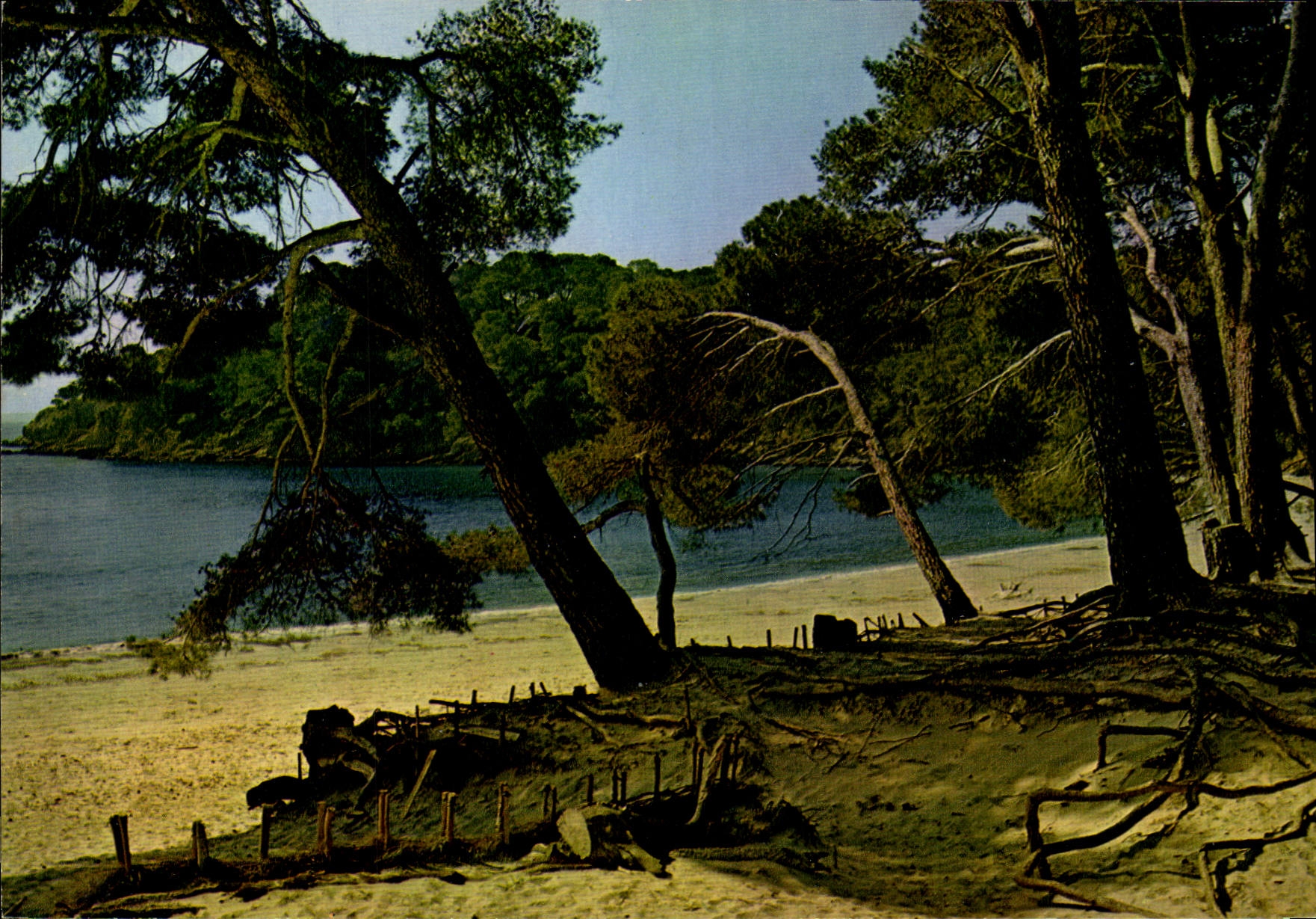 Calanque — Méditerranée aux plages d'or ensoleillées — Éditions de France