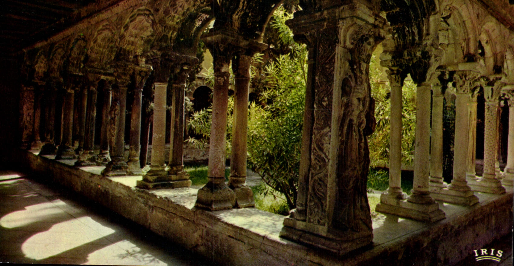 Cloître de la cathédrale Saint-Sauveur — Aix-en-Provence — éditeur IRIS
