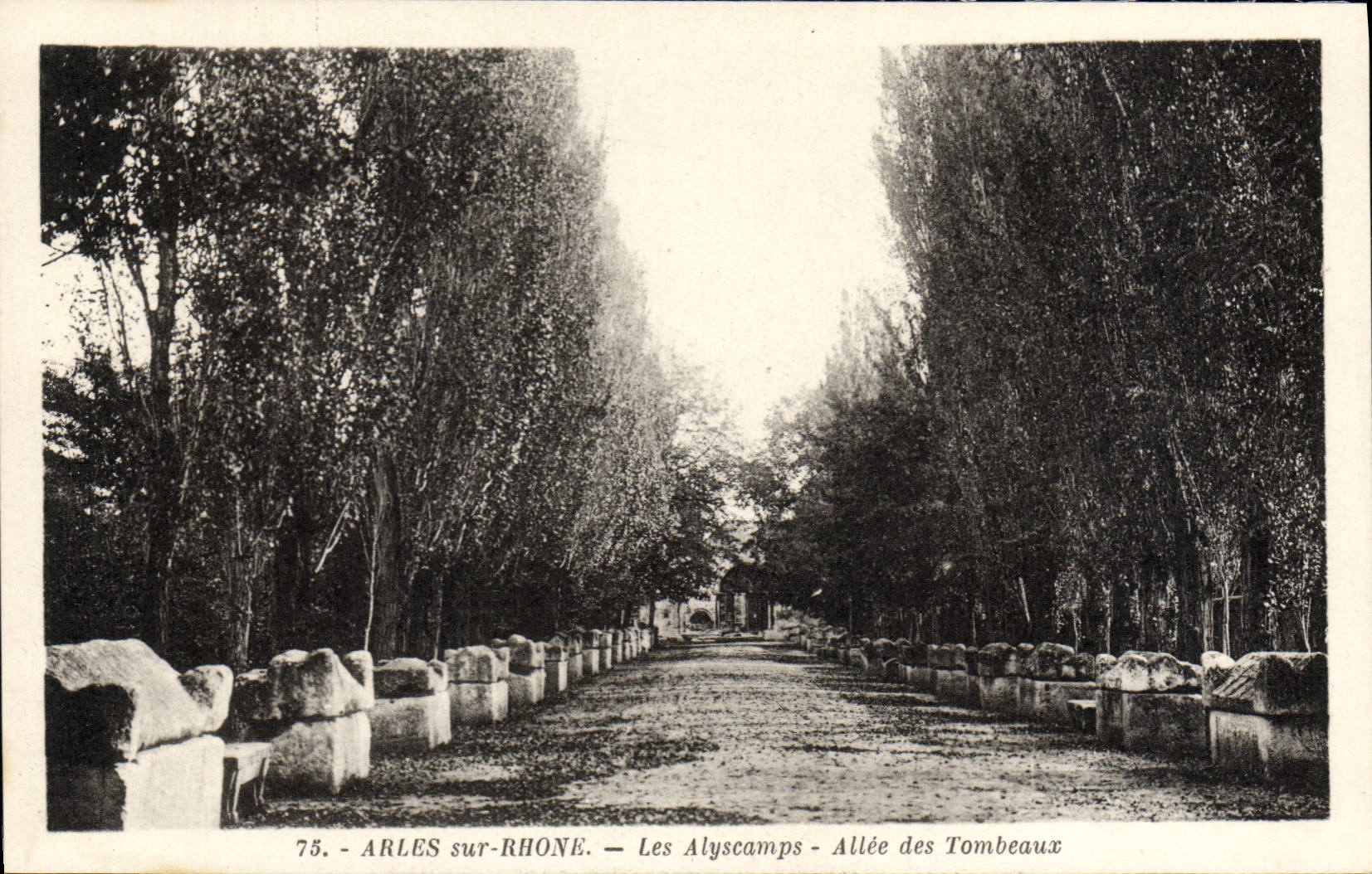 Arles-sur-Rhône — Les Alyscamps — Allée des Tombeaux