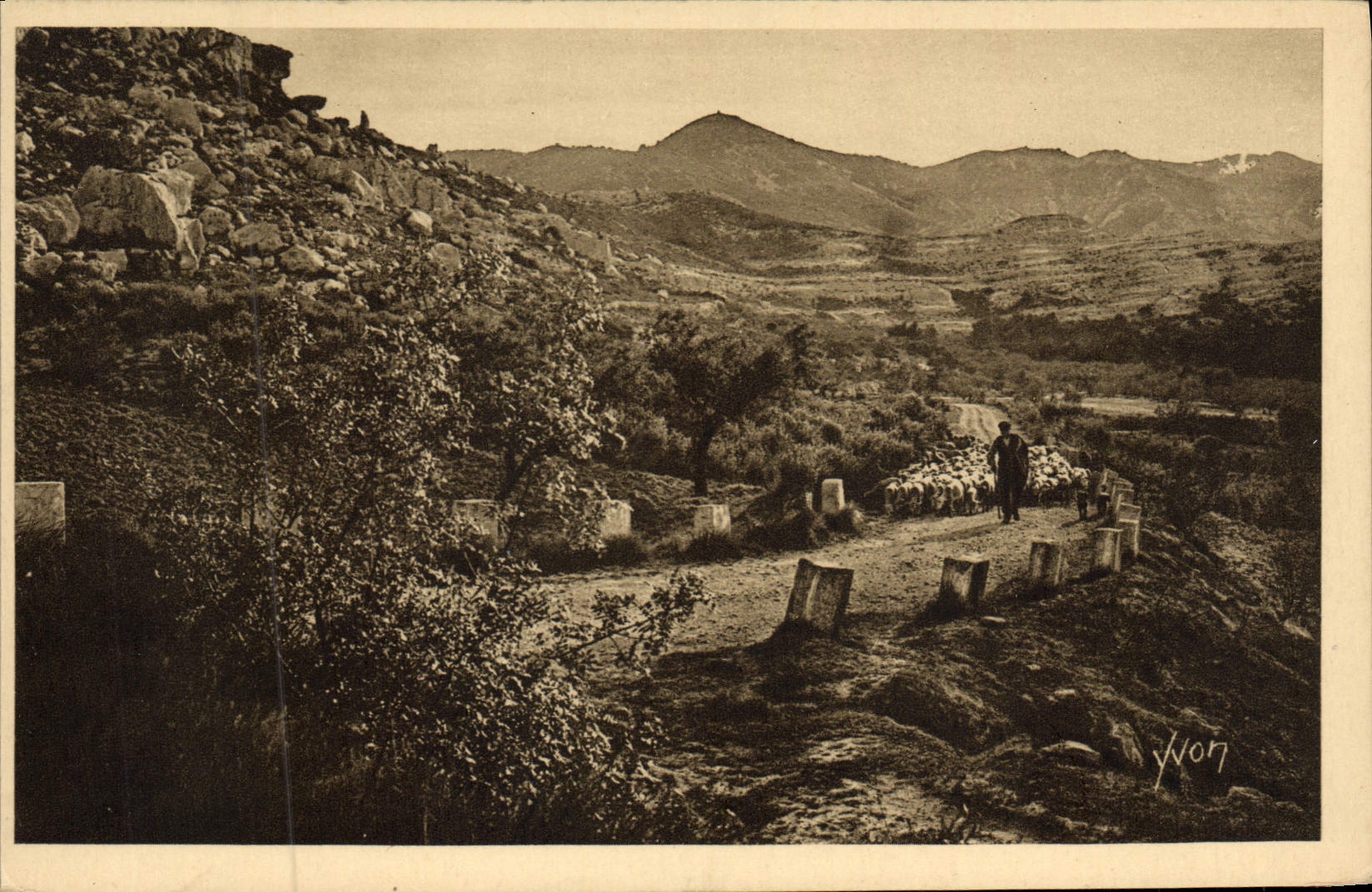 Paysage montagneux avec berger et troupeau — éditeur 'LA DOUCE FRANCE', n°15