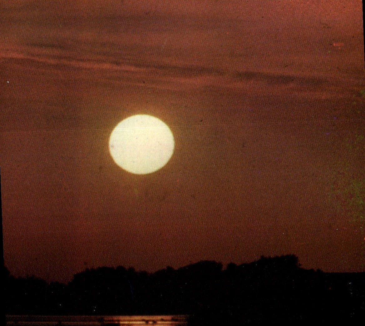 Lune — au-dessus d'une ligne d'arbres — IRIS Mexichrome, n°13.200/223