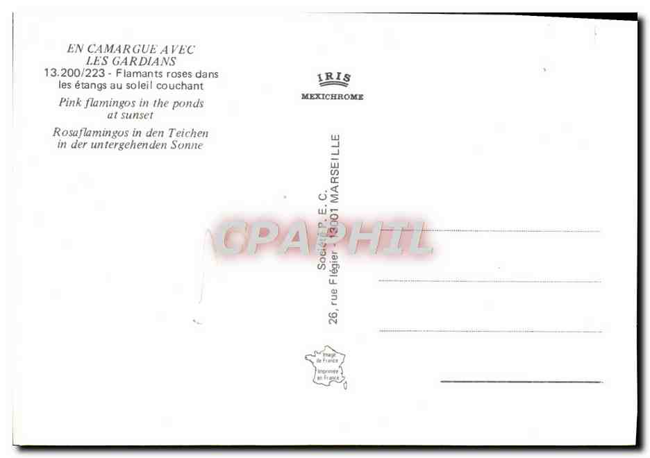 Lune — au-dessus d'une ligne d'arbres — IRIS Mexichrome, n°13.200/223 — Achterkant