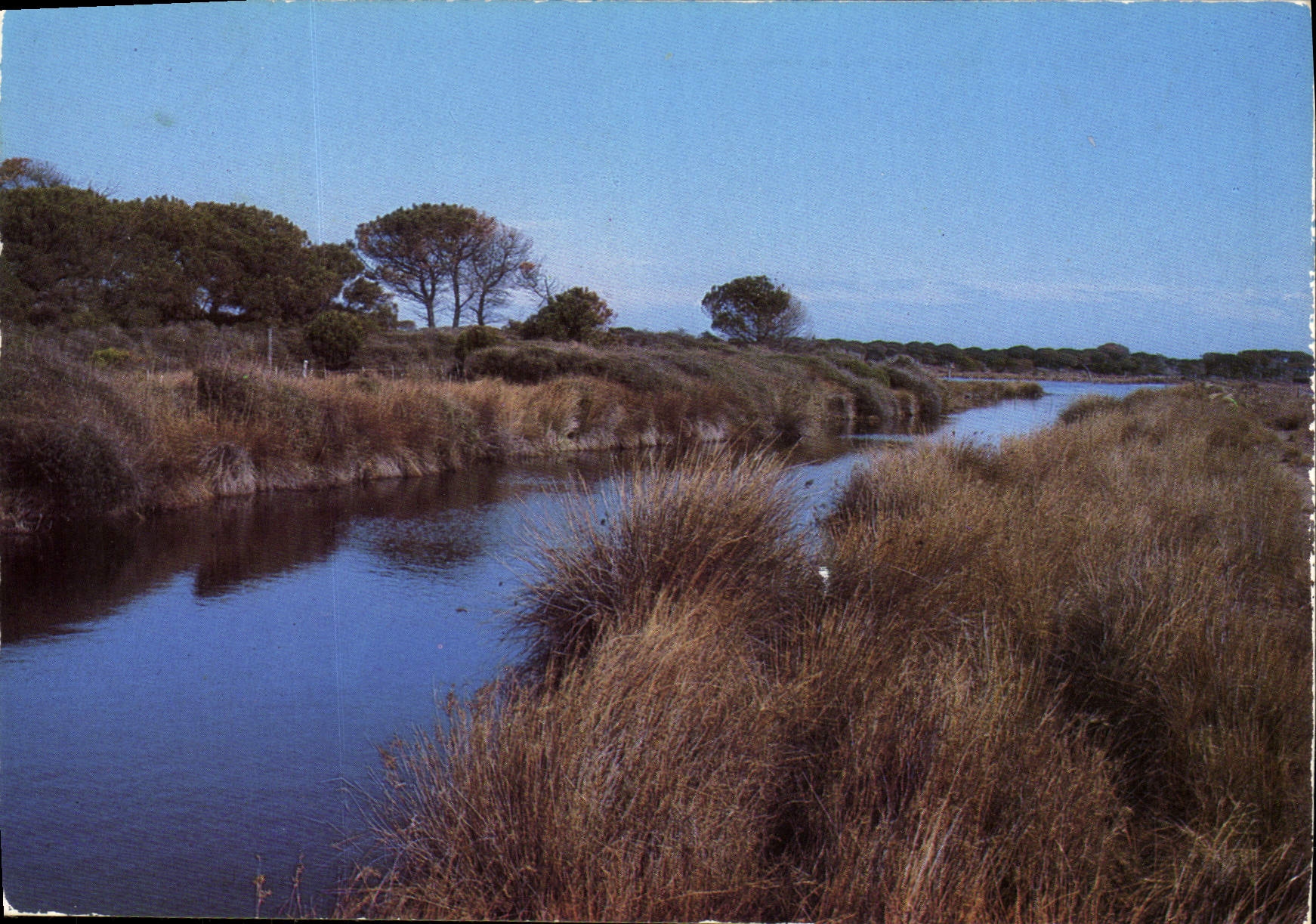 La Camargue — paysage de marais et de roseaux — reproduction interdite, éditeur diffu-câlés - Voorkant