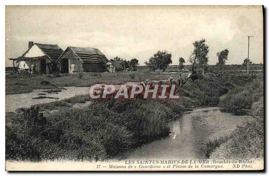 CPA Les Saintes Marie De La Mer Maisons de Guardians et plaine de la Camargue 