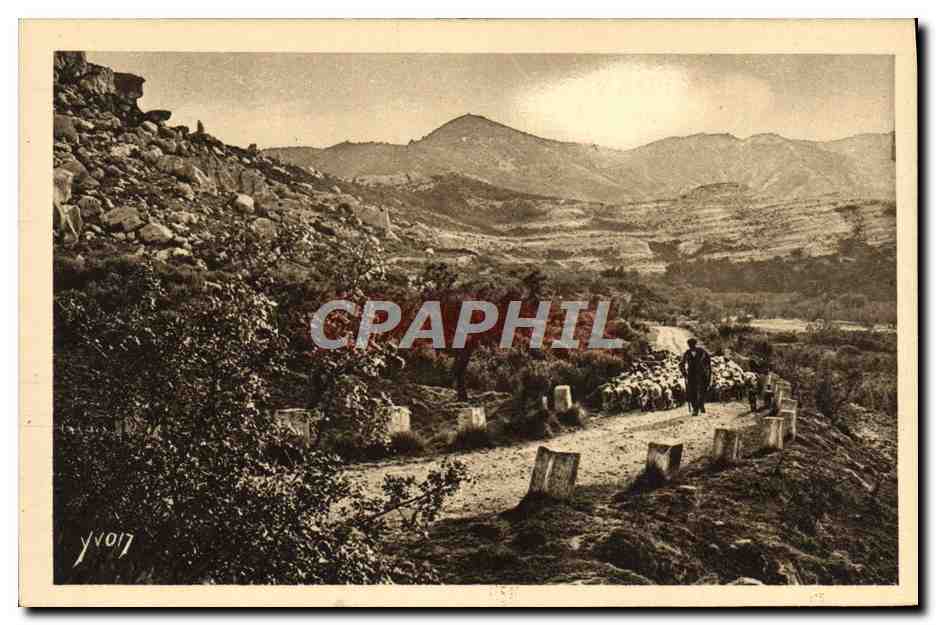 CPA Paysages Et Pierres De Provence Sur la Route de Saint Remy aux Baux