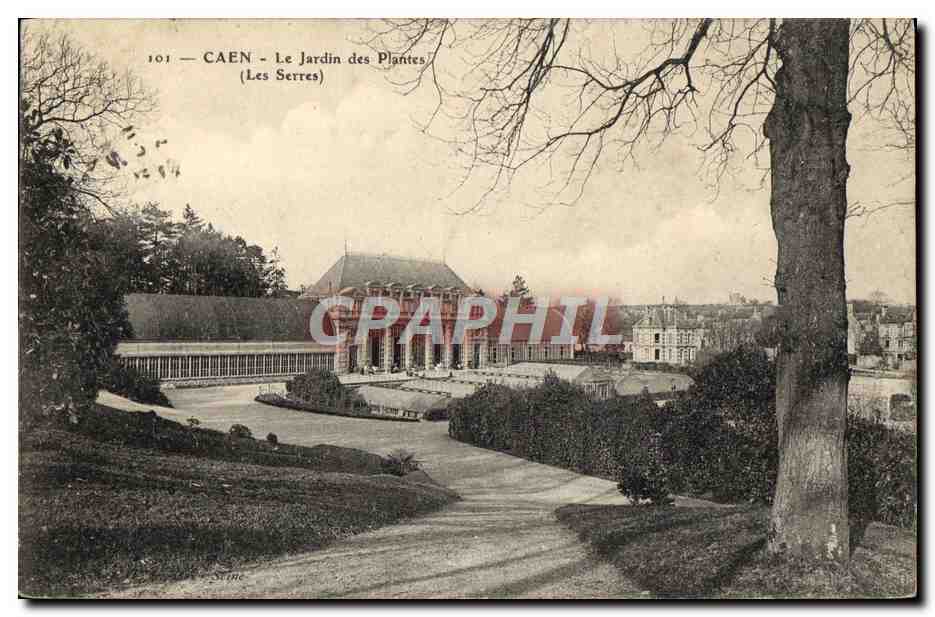 CPA Caen Le Jardin des plantes