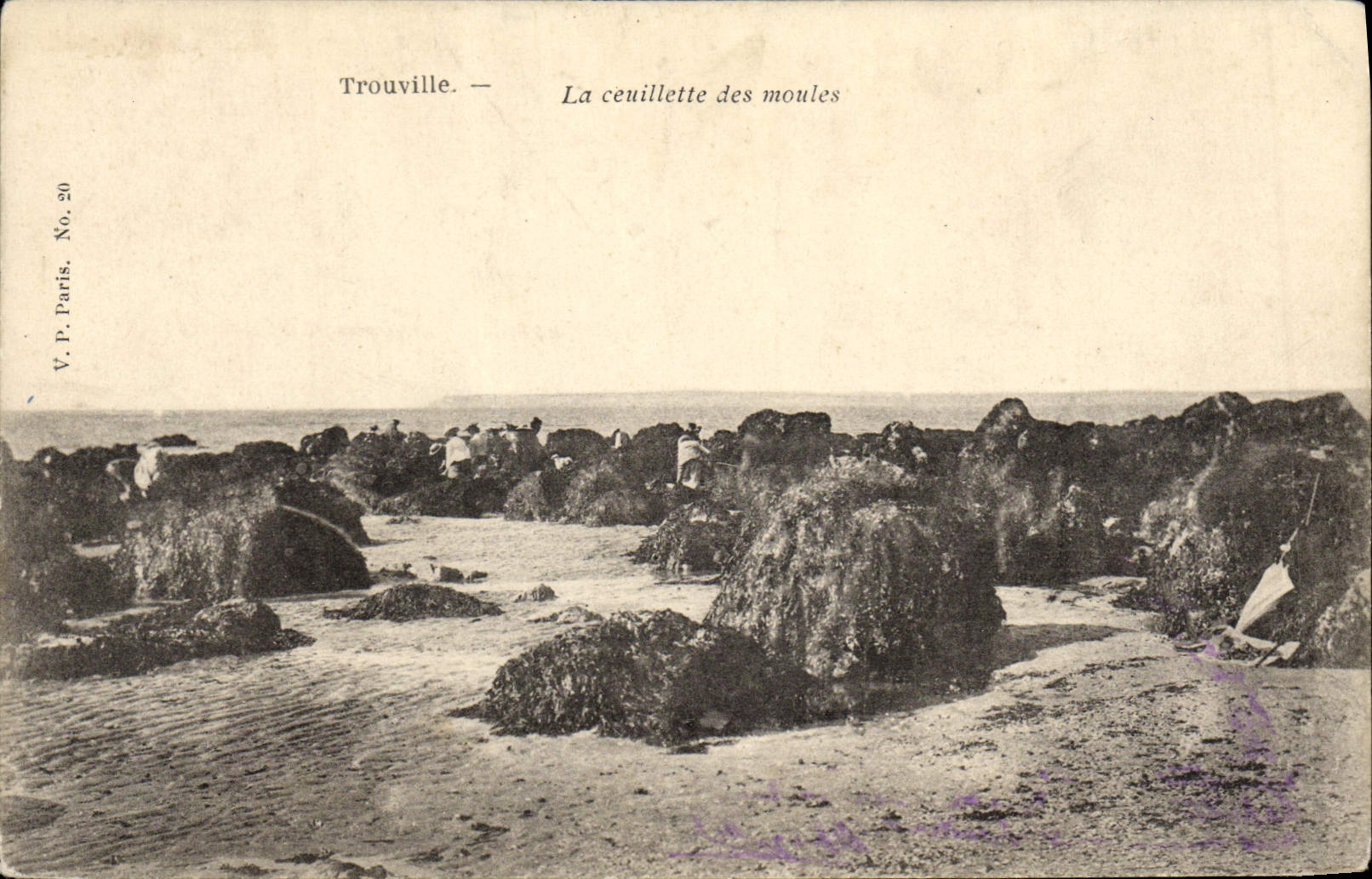CPA Trouville La ceuillette des moules