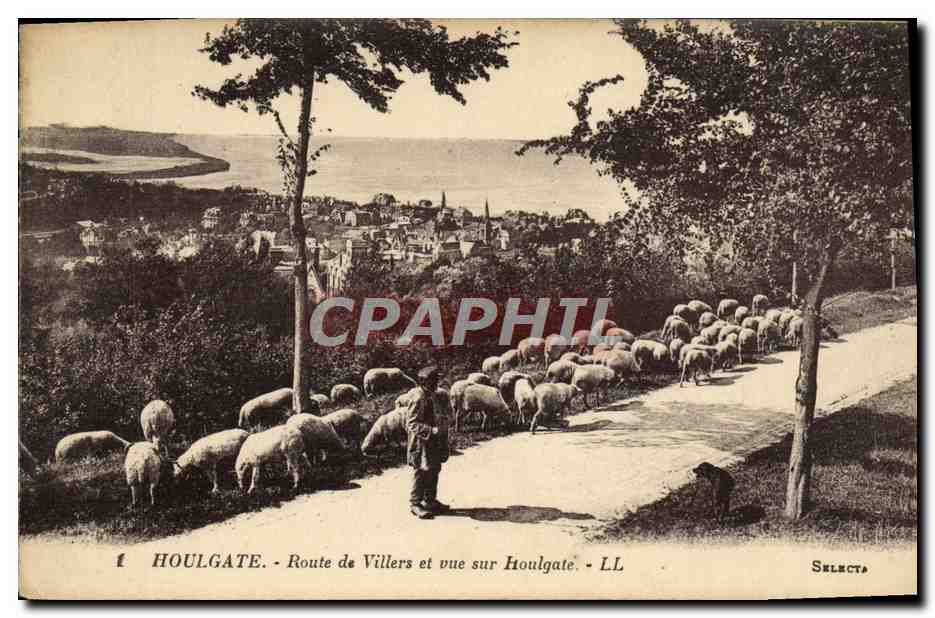 Houlgate - Route de Villers et vue sur Houlgate - LL Selecta
