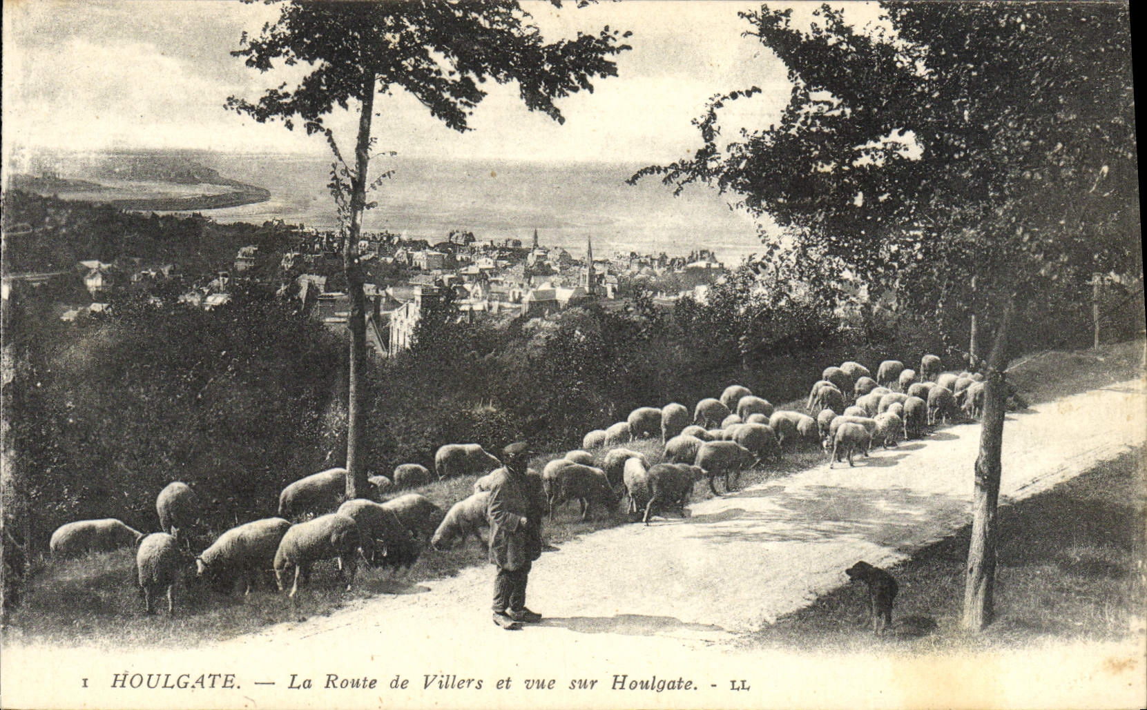 Houlgate — La Route de Villers et vue sur Houlgate — LL