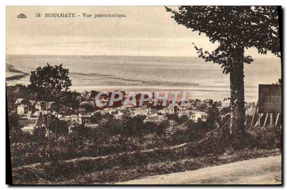 CPA Houlgate Vue panoramique 