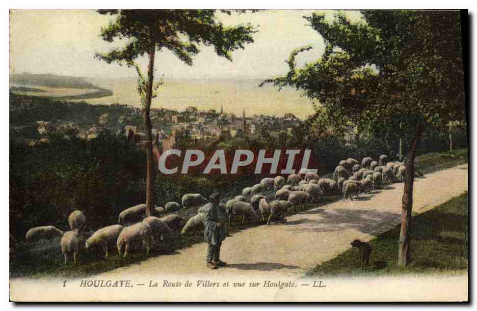 CPA Houlgate La Route de Villers et Vue sur Houlgate Berger et moutons