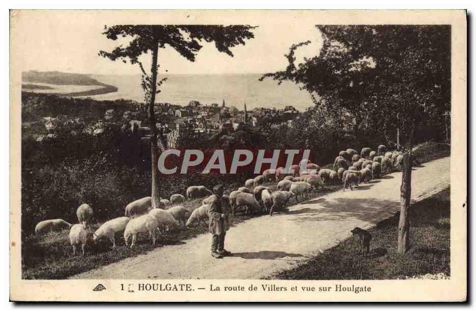 CPA Houlgate La Route de Villers et Vue sur Houlgate Berger et moutons