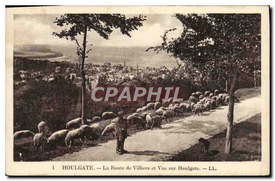 Houlgate — La Route de Villiers et Vue sur Houlgate — LL.